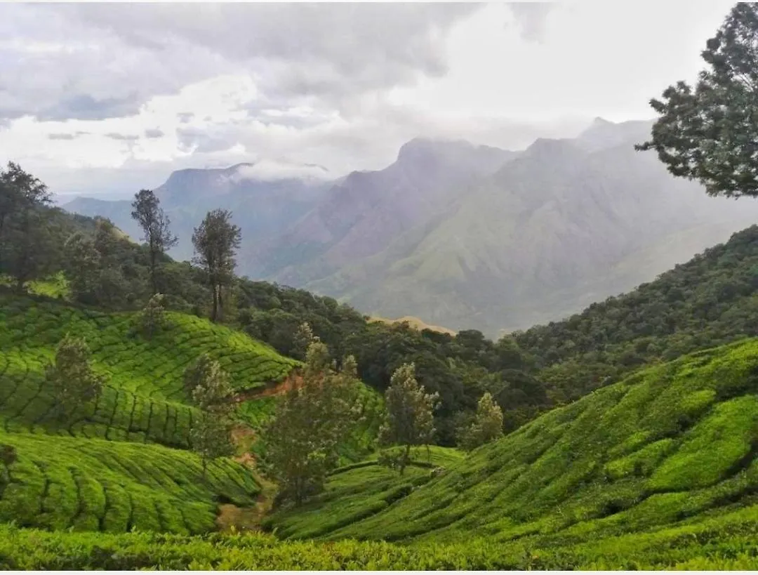 Nest Mountain Munnar Villa